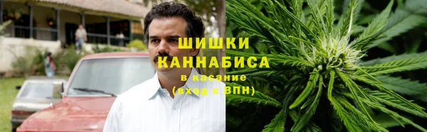 spice Каменногорск