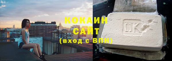винт Каменка