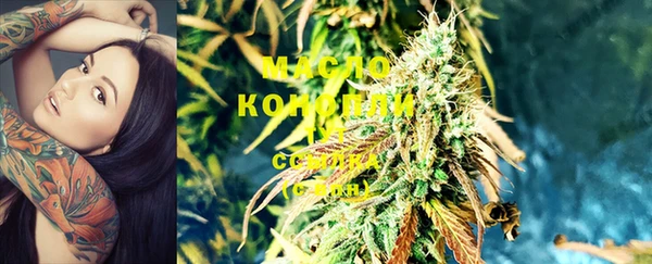 индика Карпинск