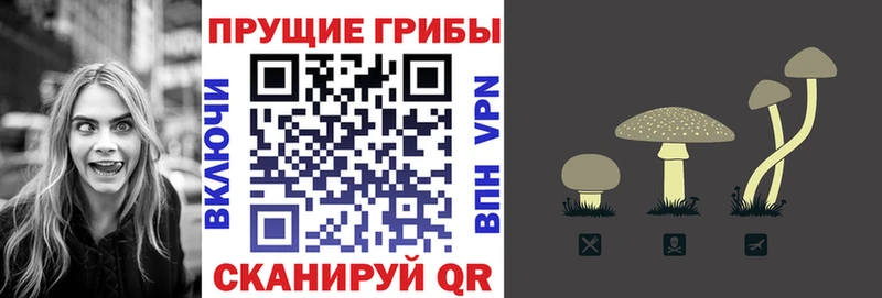 Купить где  Зуевка  Псилоцибиновые грибы мухоморы 